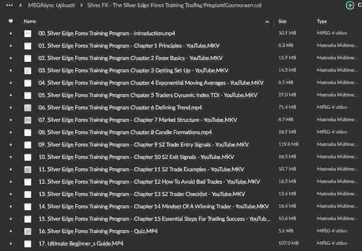 Silver FX – The Silver Edge Forex Training Trading Program - Image 2