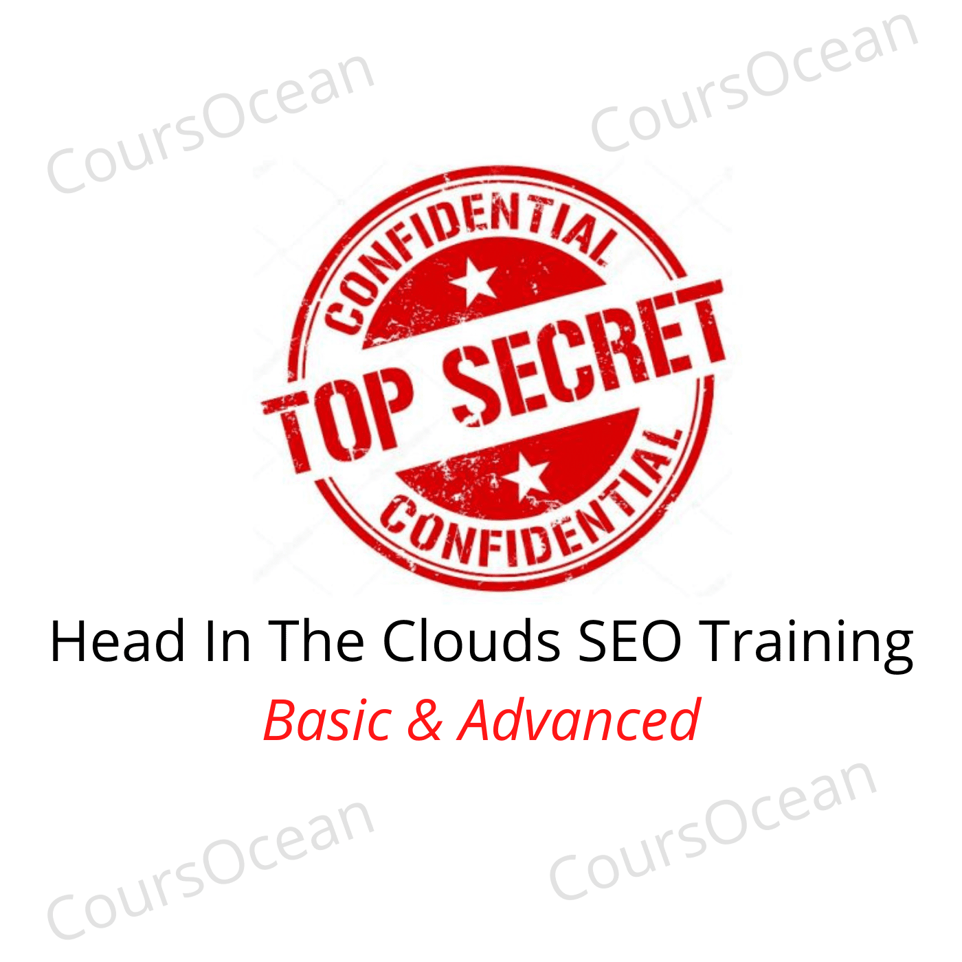 Head In The Clouds SEO Training Basic & Advanced