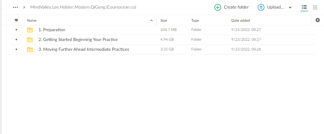MindValley-Lee Holden Modern QiGong - Image 2