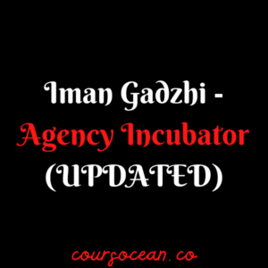 Iman Gadzhi - Agency Incubator (UPDATED)