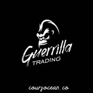 Guerrilla Trading – The Bomb & The Bullet Trade System