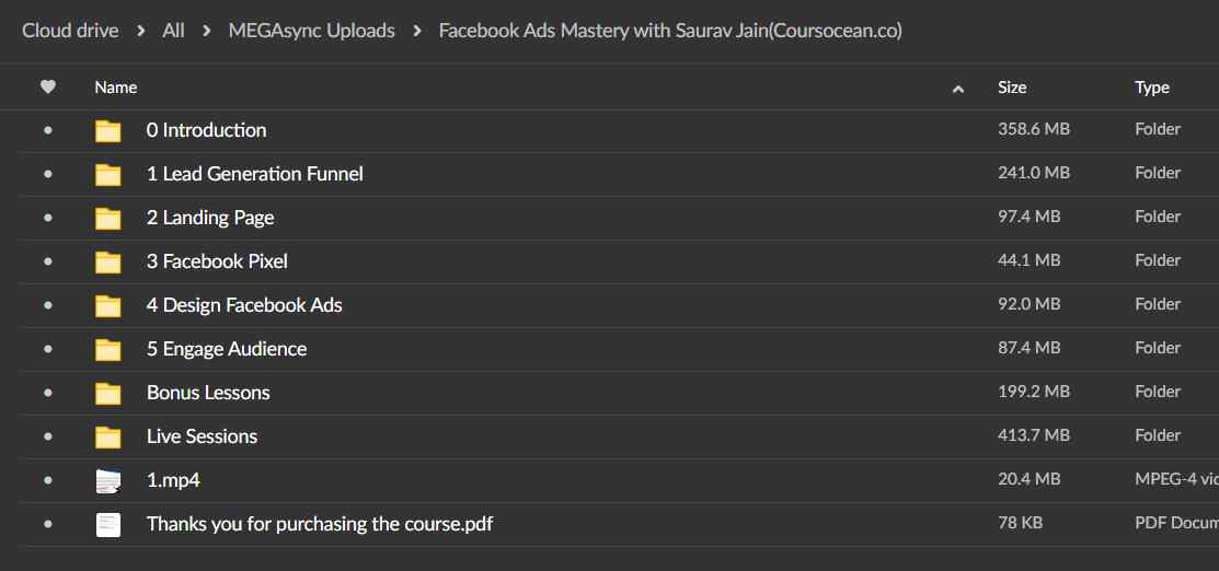 Facebook Ads Mastery with Saurav Jain - Image 2